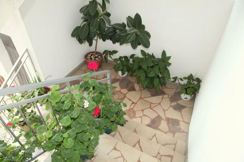 Ravlic Guest house 3*